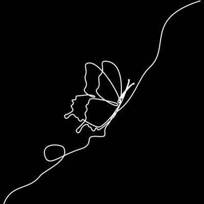 Butterfly continuous line drawing white Thumbnail