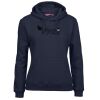 Ladies Fleecy Hoodie Thumbnail